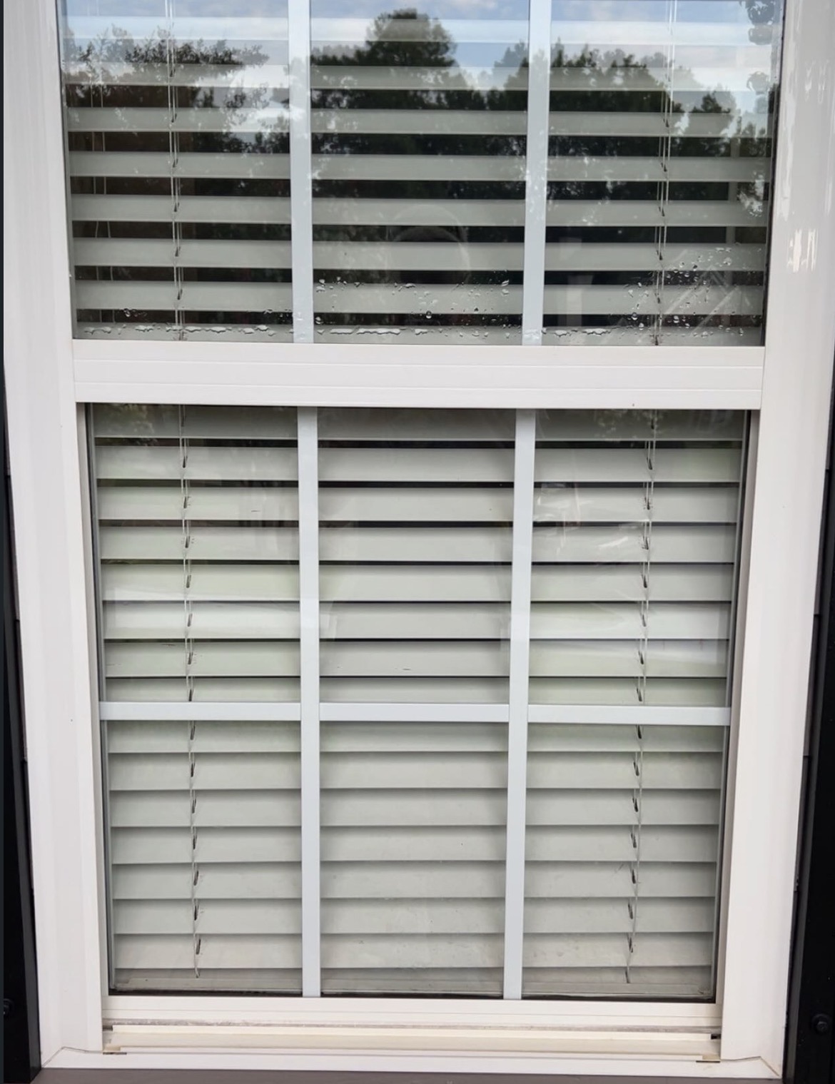 Divided-light window — after